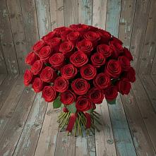 Букет 55 Красных роз Фридом #REPLACE_PRED# Брехово