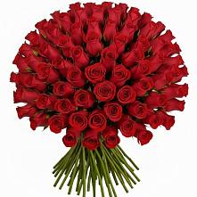 Букет Красные розы Чери Лав в Брехово
